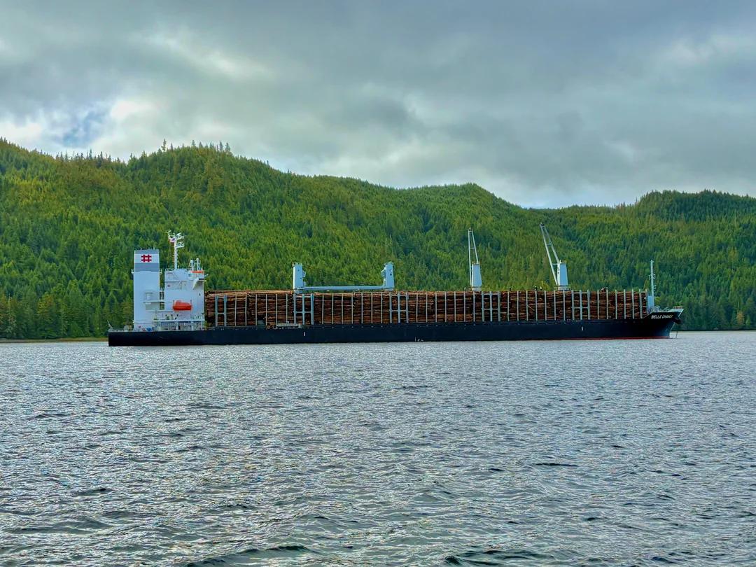 木材运输船（Log Ship）

如果你曾经好奇过 670万板英尺（board 
