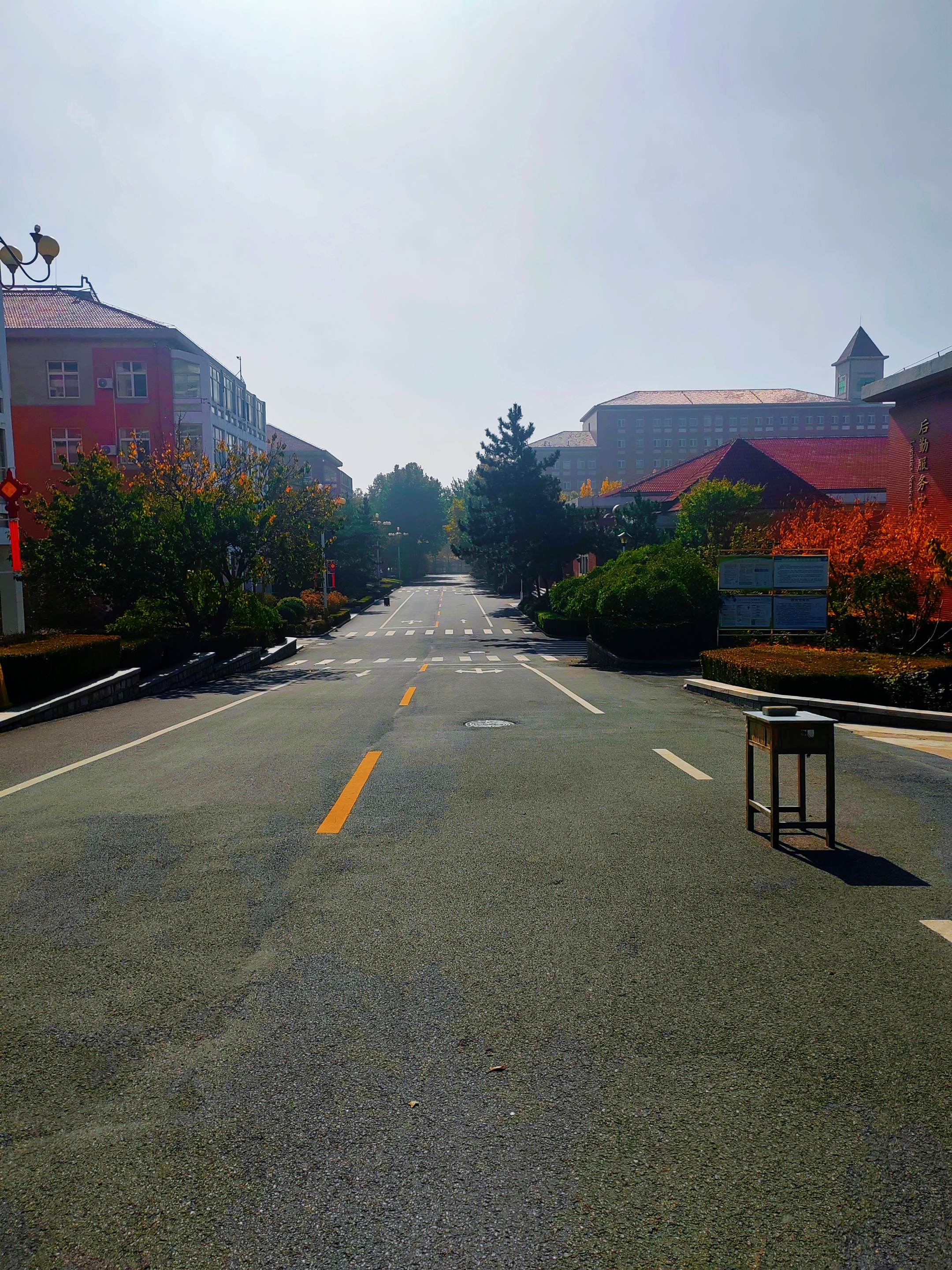 高三的娃好不容易休息个周末，又主动去学校上自习，每天早晨五点前起床学习...