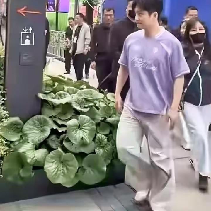 上海直接被氛围感拉满！心心念念的白月光归来，樊振东这次亮相真的让人眼前一亮。一身