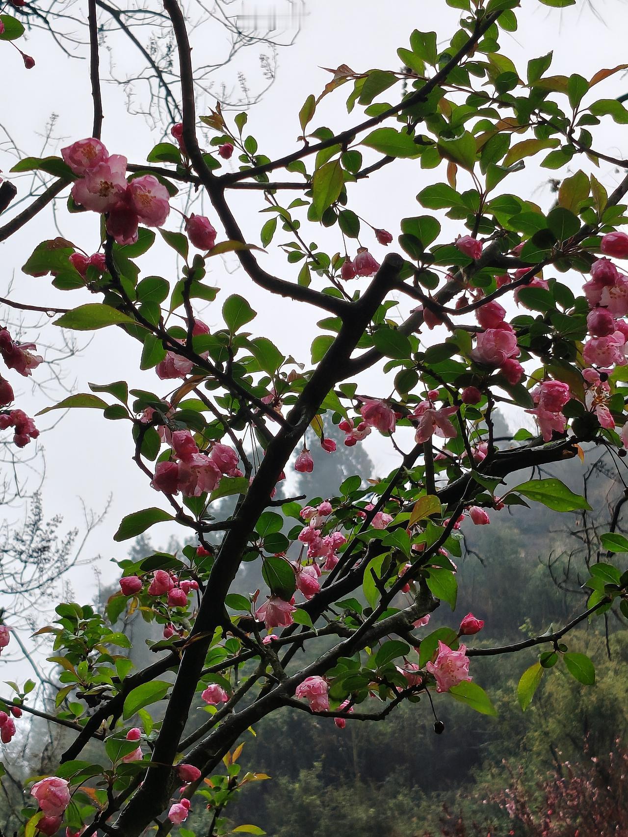 幸福，是人内心的感受或体验，与外在条件（车、房，大量的钱）无关，一句话，心安就是