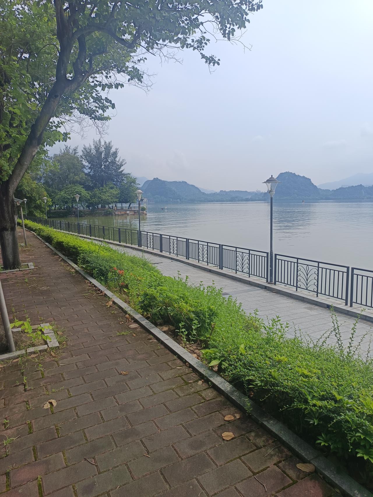 我在七星岩风景区
发现一个很严重的问题
但不知道怎么说才好了




你敢相信吗
