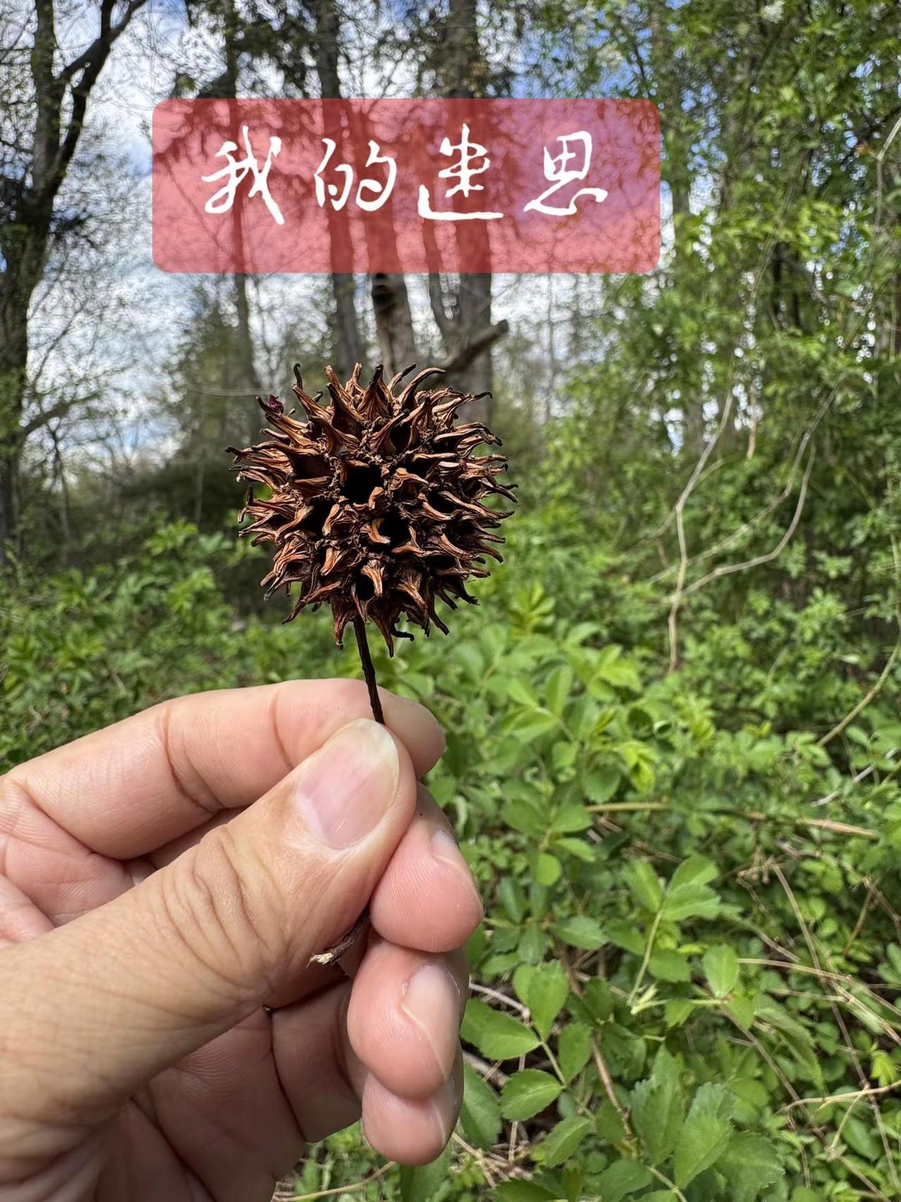 蓝光丨我的迷思
