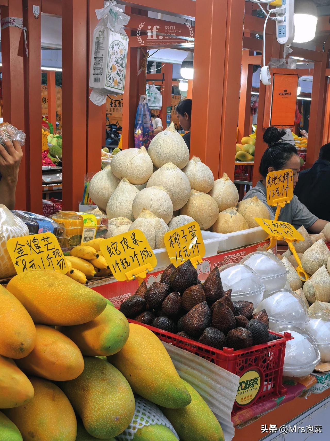 接受他人的美意也是对美好的一种成全

去年11月份，老八就去海南的保亭猫冬去了，