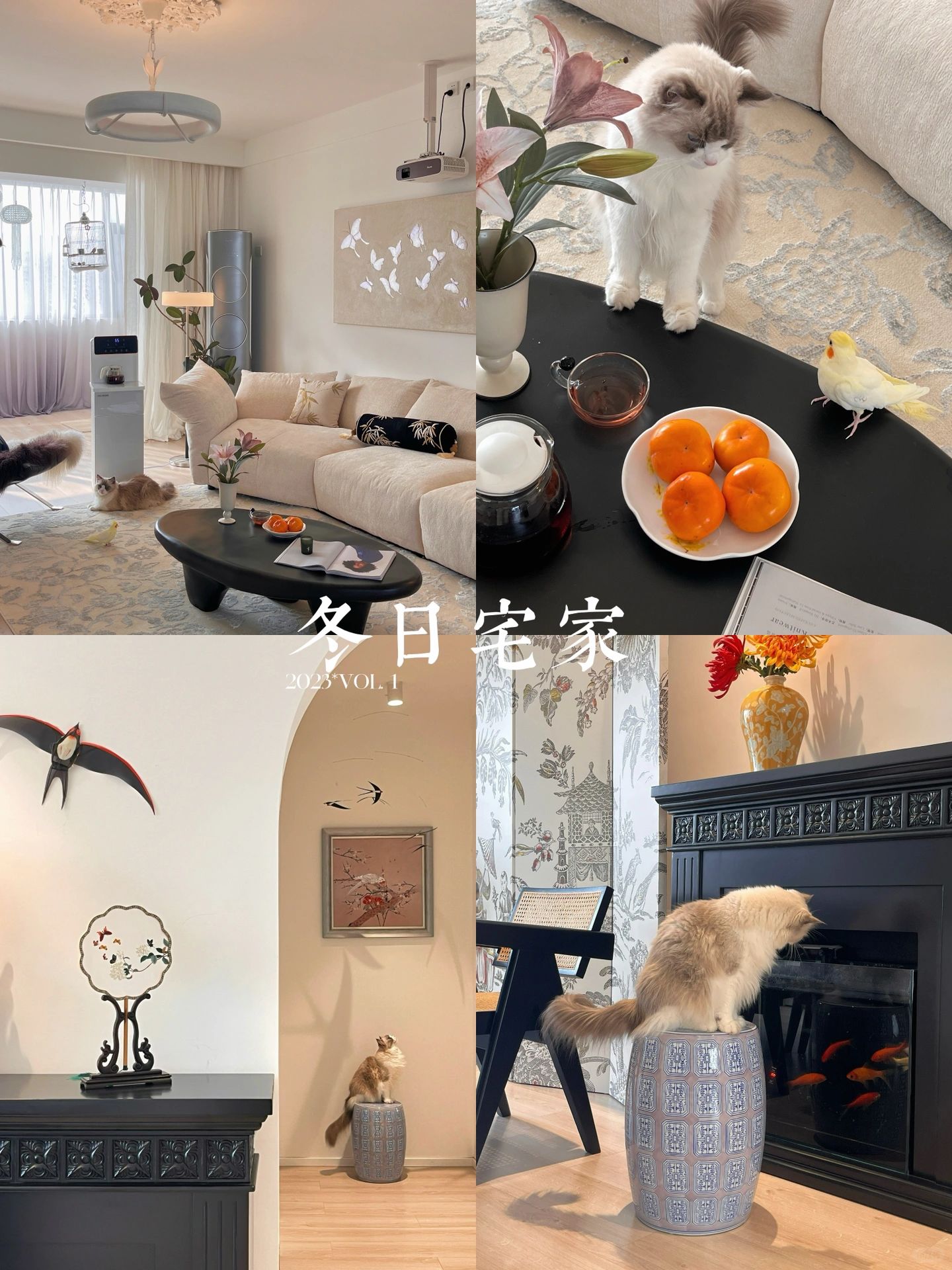 国潮新中式的家｜三十岁居然爱上了喝茶养鸟
