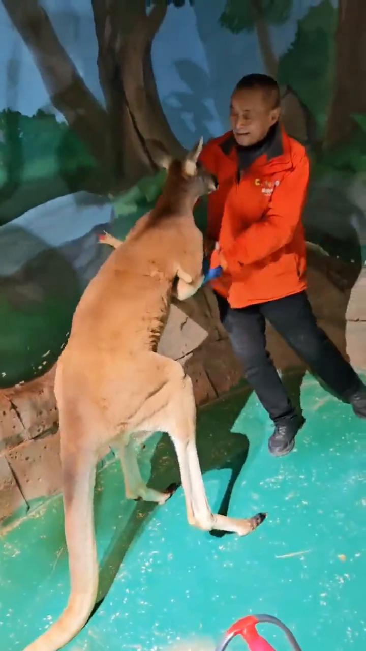 一号链接单人票二十九点九。