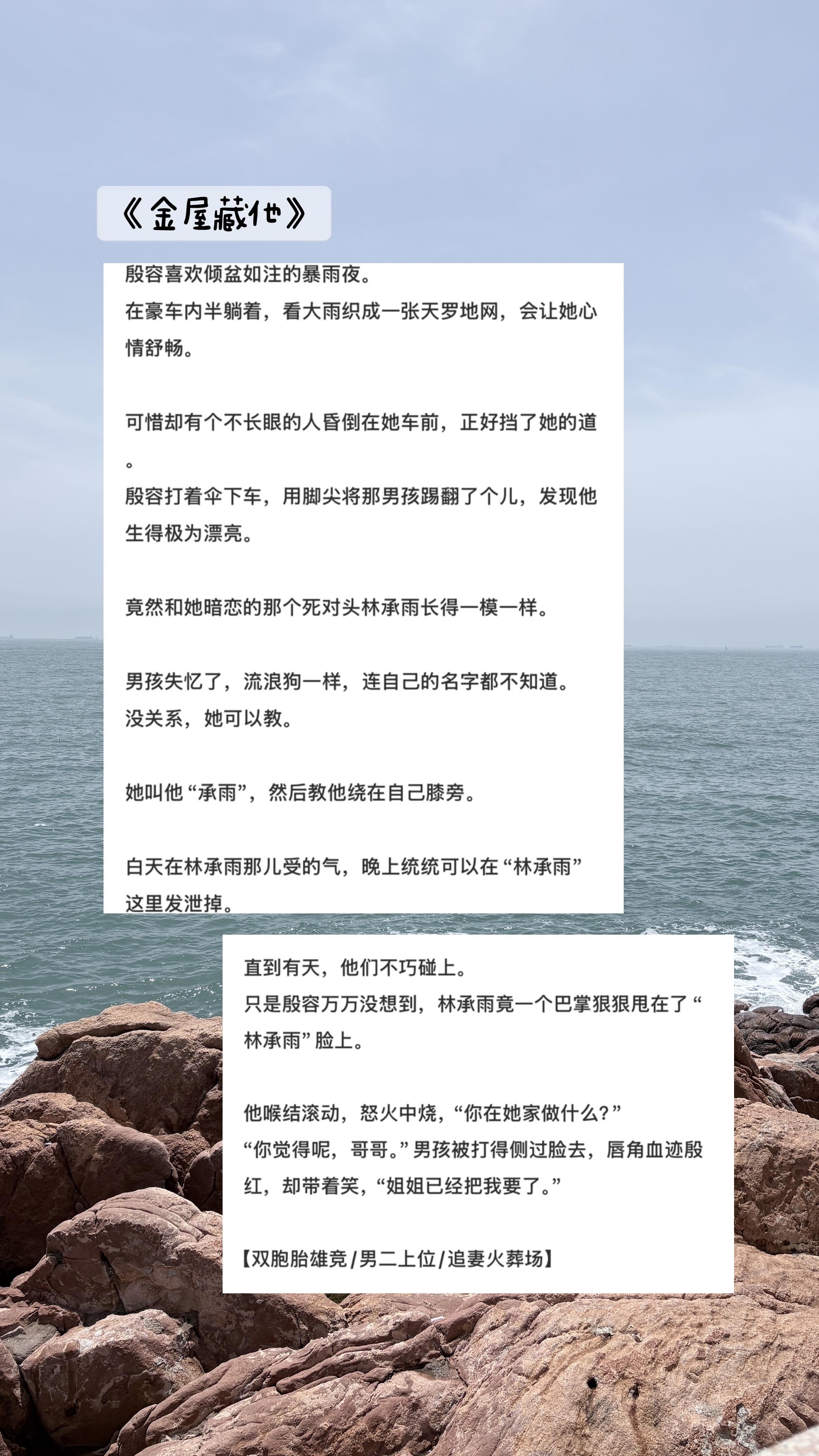 男二上位 追妻火葬场。