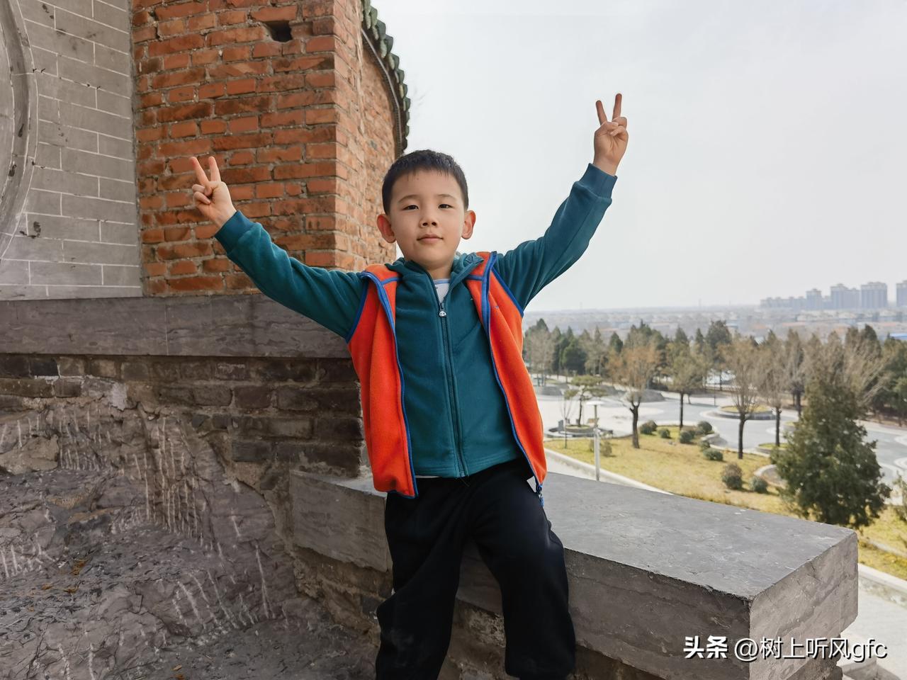 初夏，小鸟送来了歌声，叫醒了昨夜的残梦。叶子又稠密了一些，绿色又蓬勃了一些；枇杷