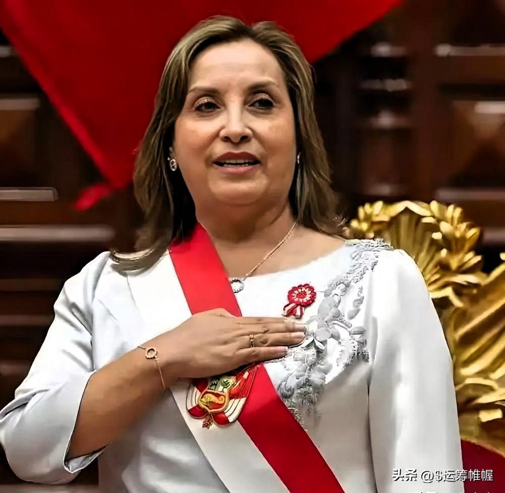 秘鲁这一刀，砍的真狠！中国汽车轮胎在秘鲁彻底“芭比Q”了，3月24日，秘鲁刚刚出