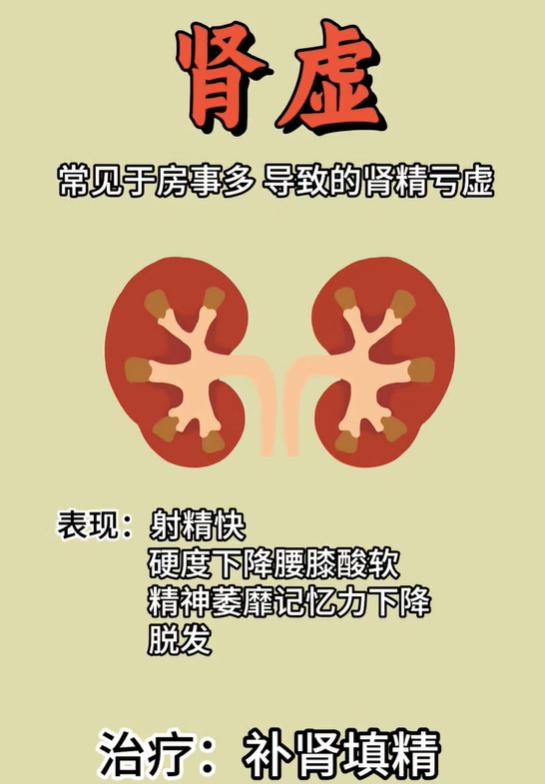 不是所有问题都要补肾，分清肾虚和肝虚很重要