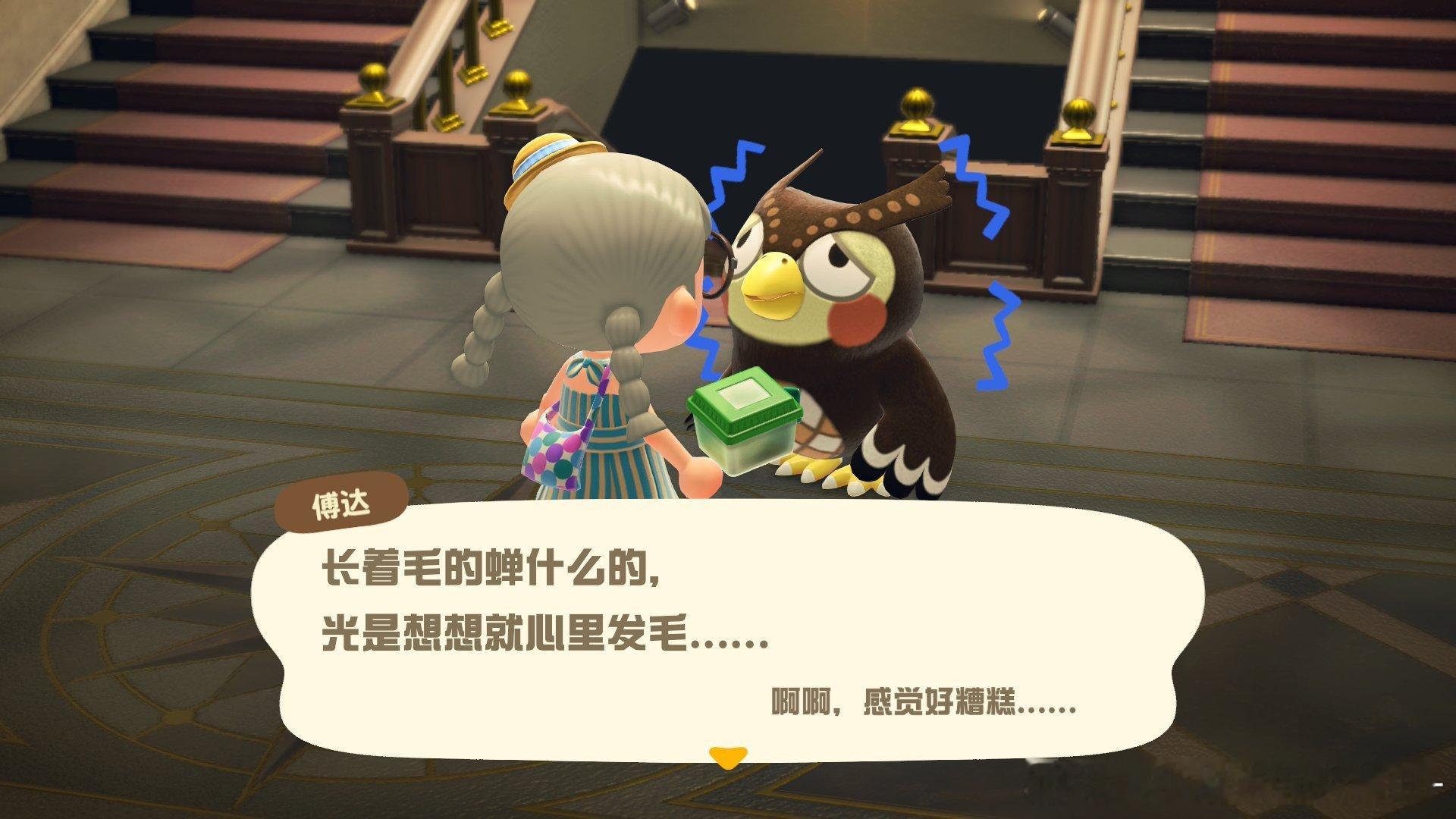 逗这个🦉真是太好玩了