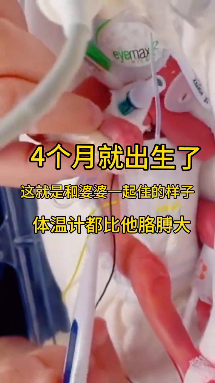 4个月就出生了，这就是和婆婆一起住的样子，体温计都比她胳膊大。