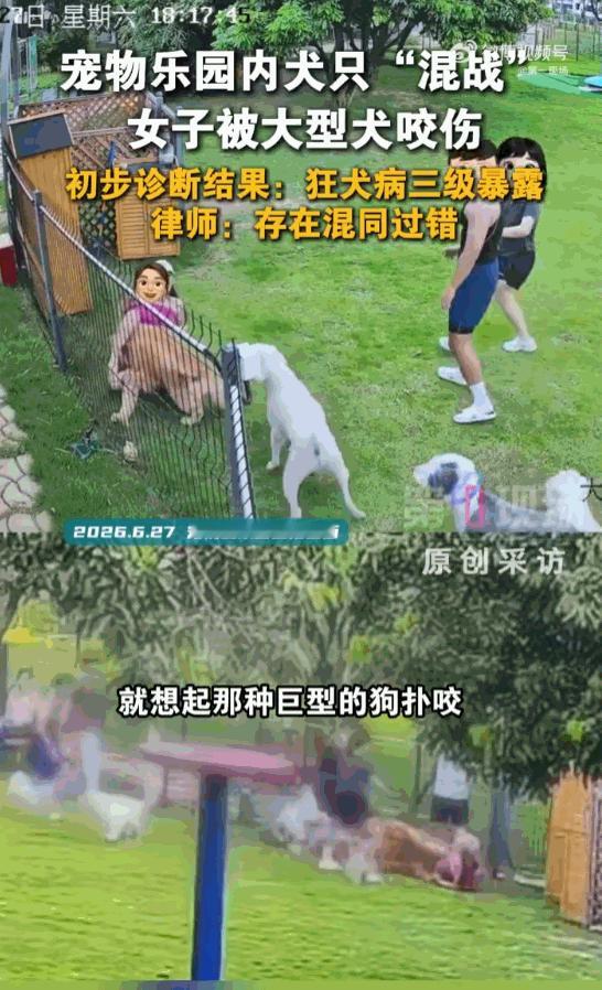 必须严惩！广东深圳，一女子本想带着爱犬去宠物乐园度过一个愉快的周末，结果她不仅被