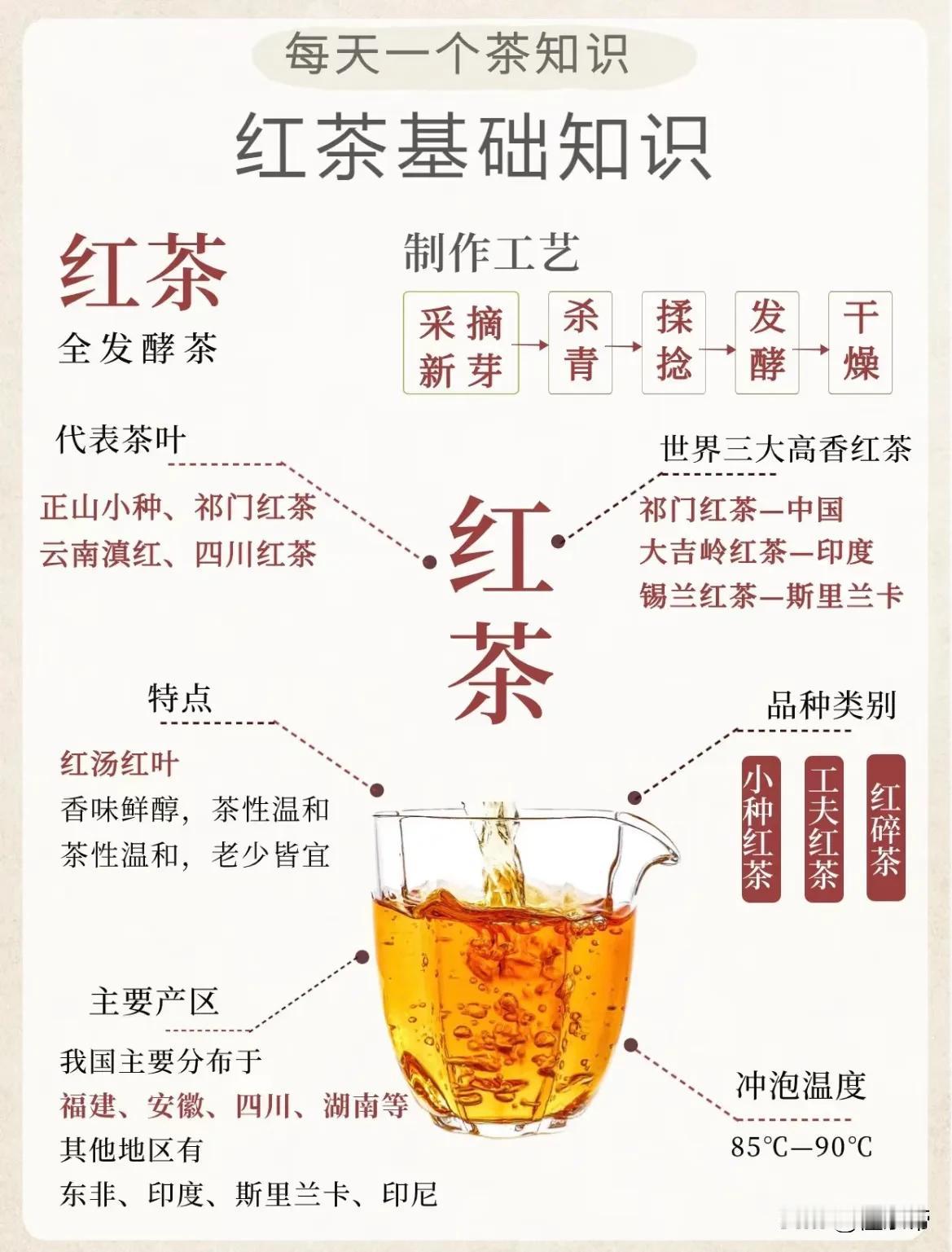 一组图快速入门中国红茶！