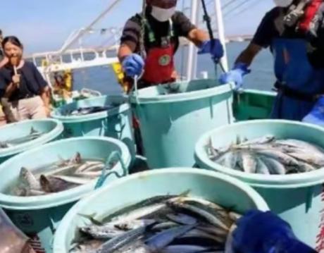 当初日本将“核污水”倒进大海里的时候，全世界基本就没有国家赞同的，可现在，依旧有