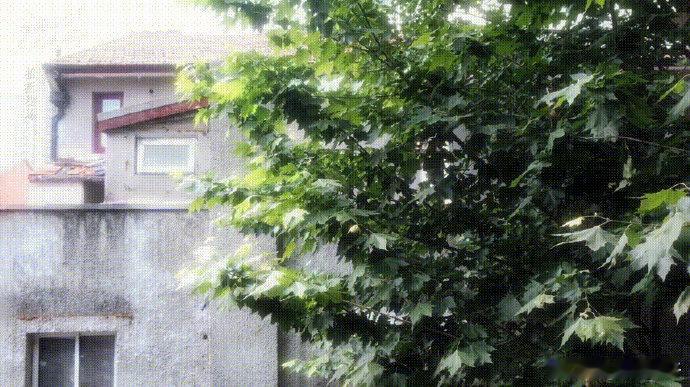 文淇把身体借给顾立言这就是演员和角色融为一体吧，为了演绎好顾立言这个角色，文淇把