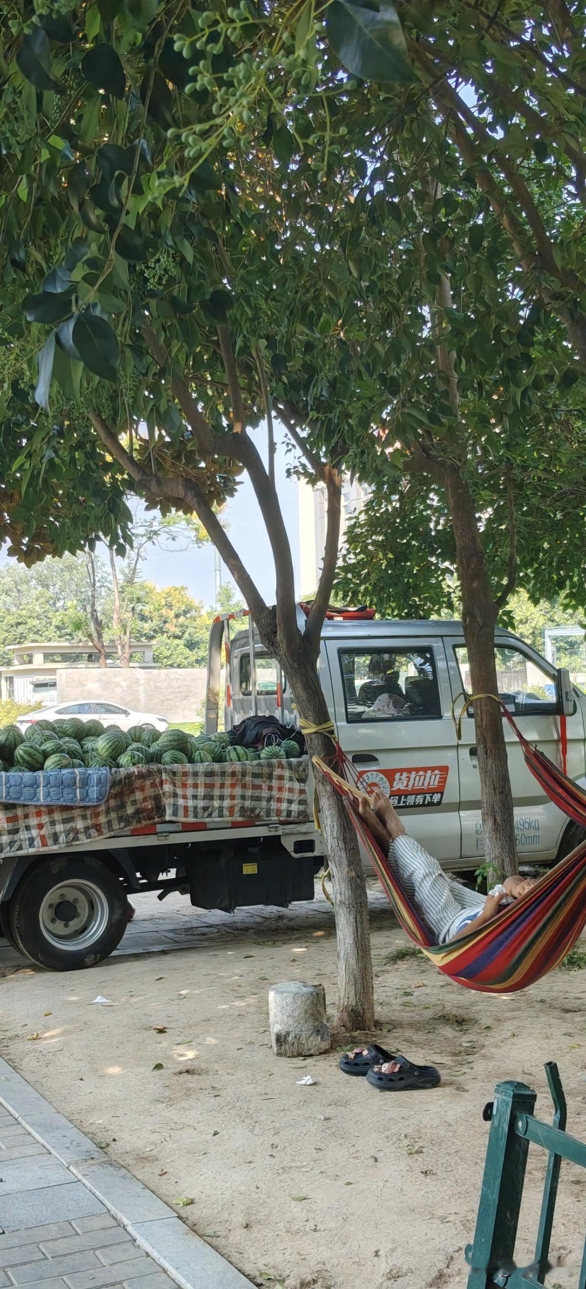 一个退休干部羡慕嫉妒卖西瓜的农民！
       刚刚退休，还没有适应这种闲散的