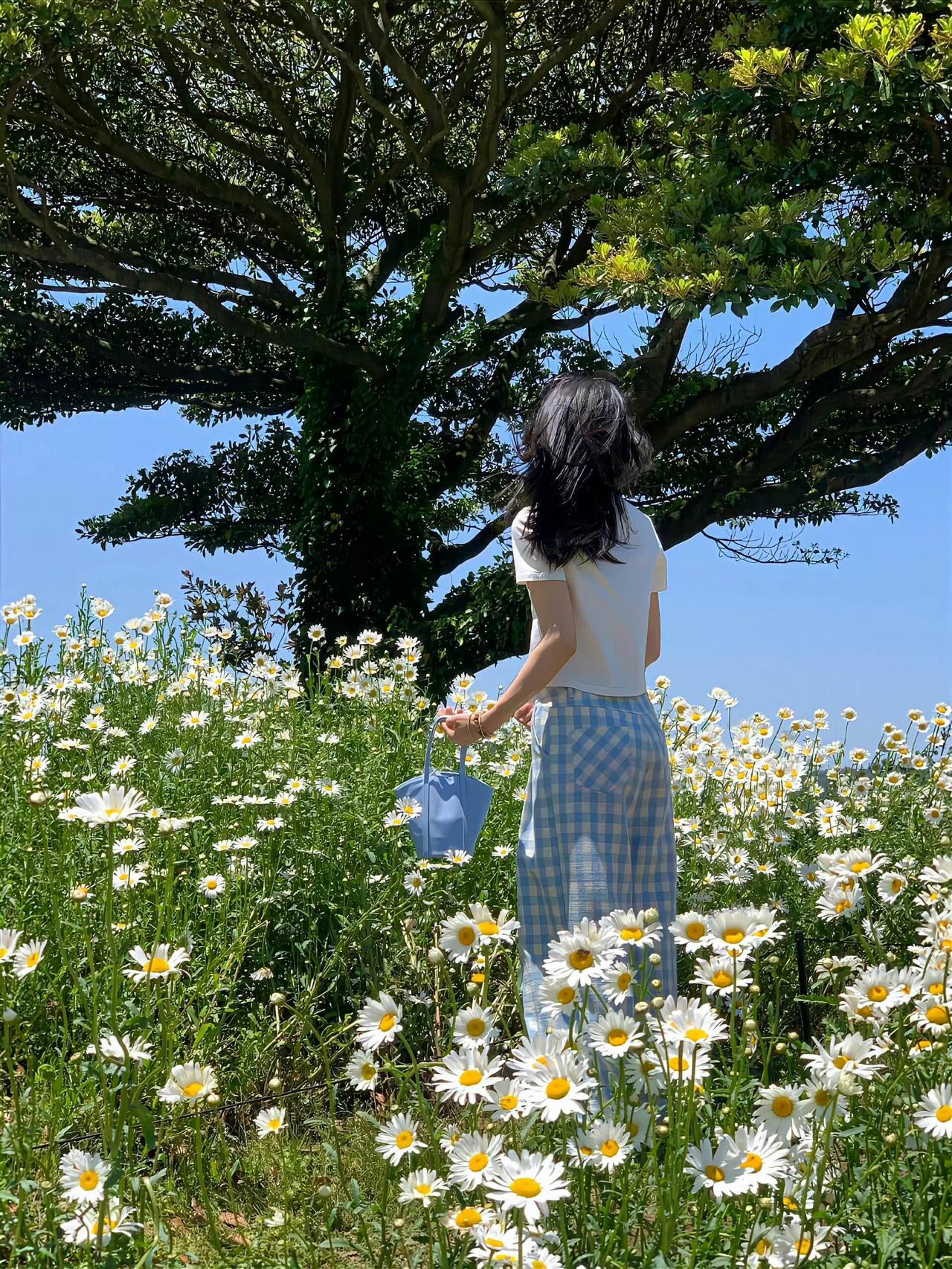 电影里所有的遗憾和错过，都会有一个结局和解释，但生活里没有。”