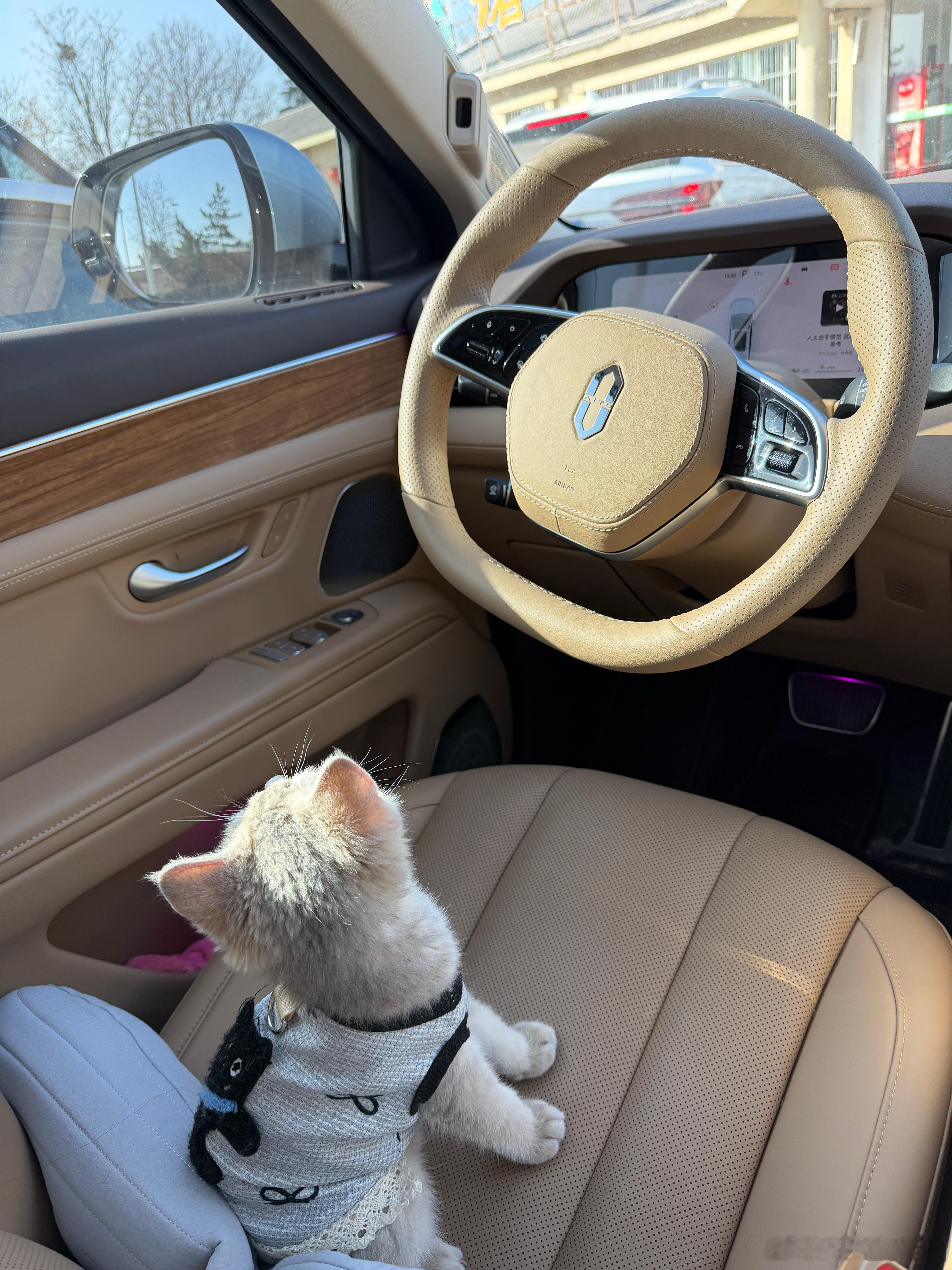 这是今天的“滴滴”司机，猫师傅！ 