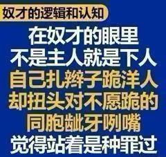 第1张图片送给权贵粉特别合适，只要你在网上说了外国权贵的某个缺点，他就上来骂你，
