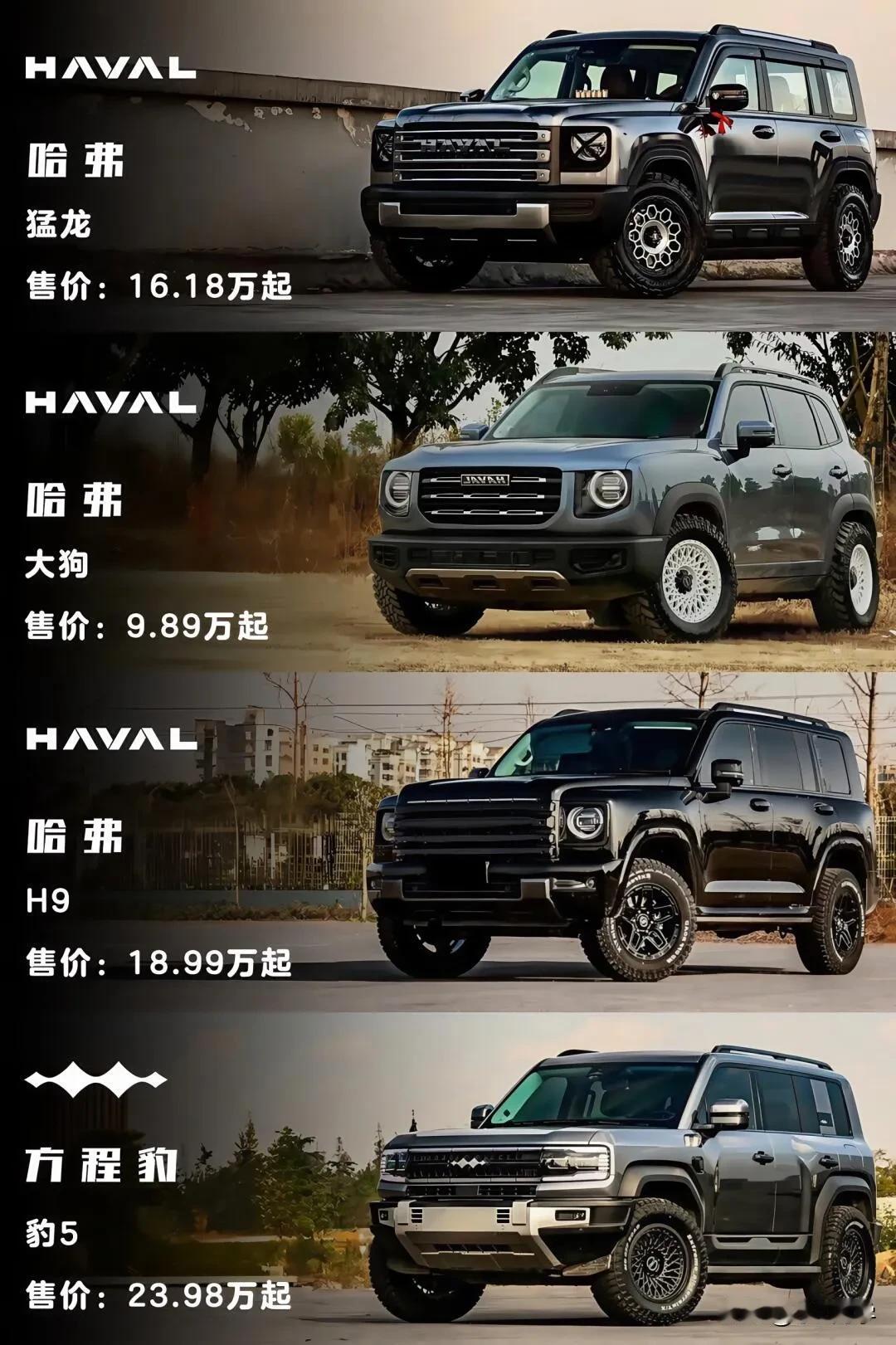 国产越野车型：价格亲民到高端的多元之选。
10万至100万预算，拥有符合你的哪款