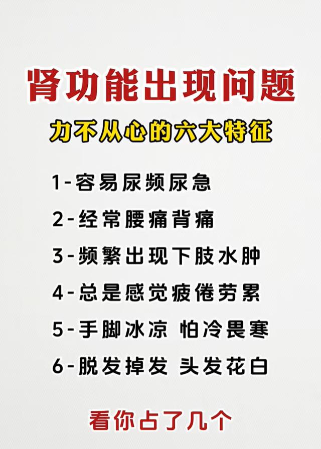 尿频腰痛、易疲劳？肾脏发出的几个预警信号
