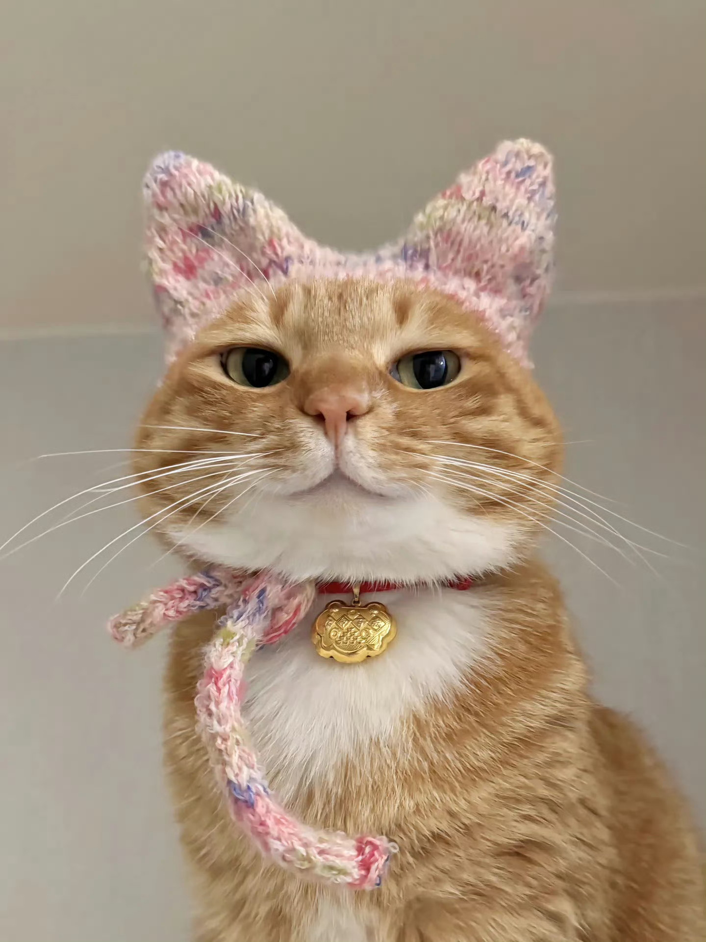 猫咪：你看看这好看吗😾 