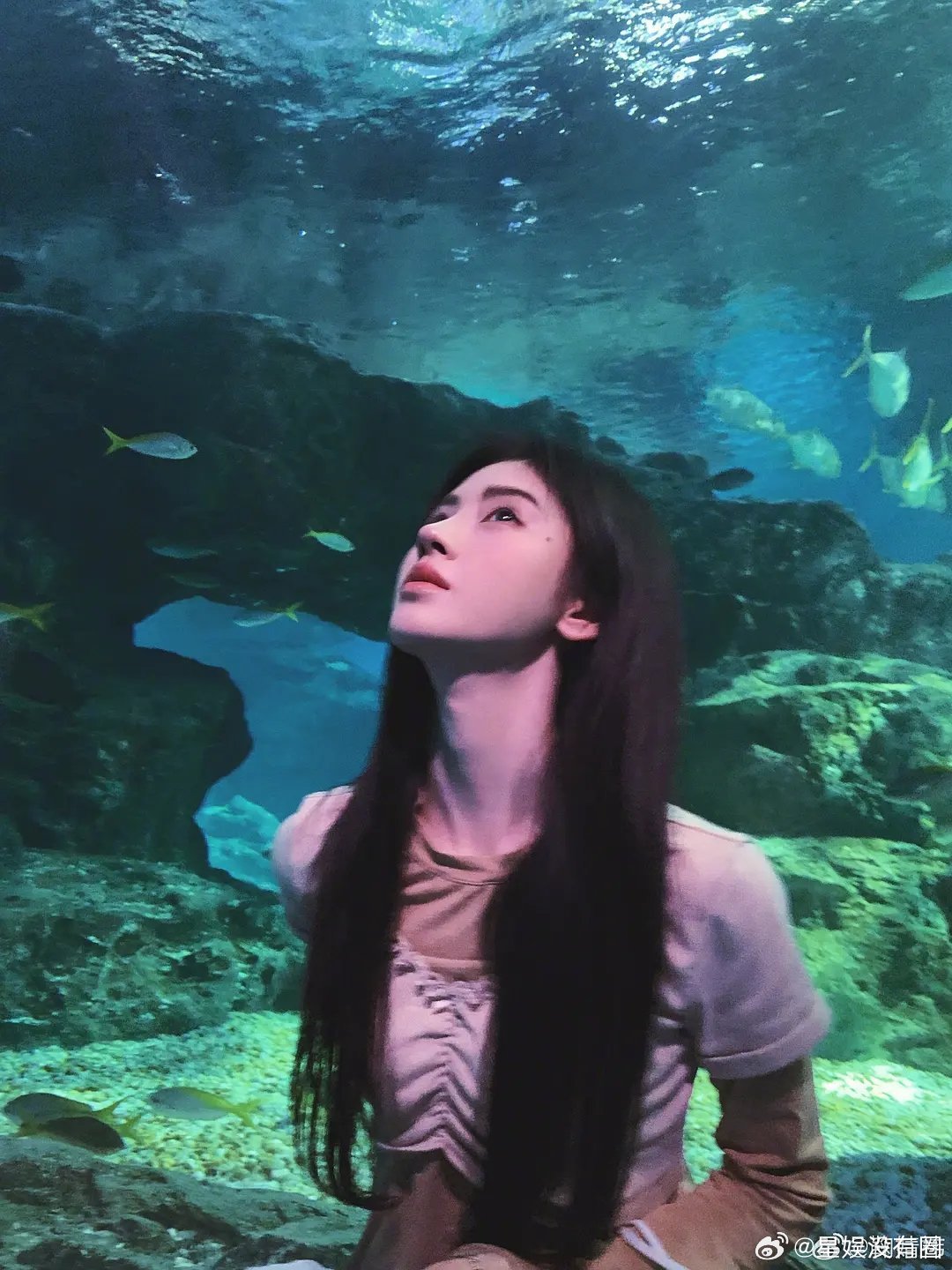 网友说，鞠婧祎的营业图都是硬凹的活人感真是这样嘛？