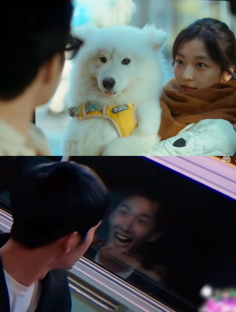 杨洋看井柏然VS卢克看栾念早春晴朗和花少2的羁绊 井柏然这样的场面你也似曾相识吧
