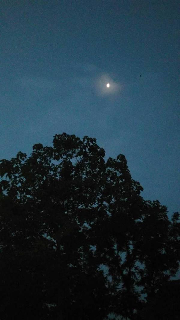 月夜 
一
深更月洗寂寥添，院柳如烟拂舍檐
枕上已知春色近，黄鹂细语入窗帘

二