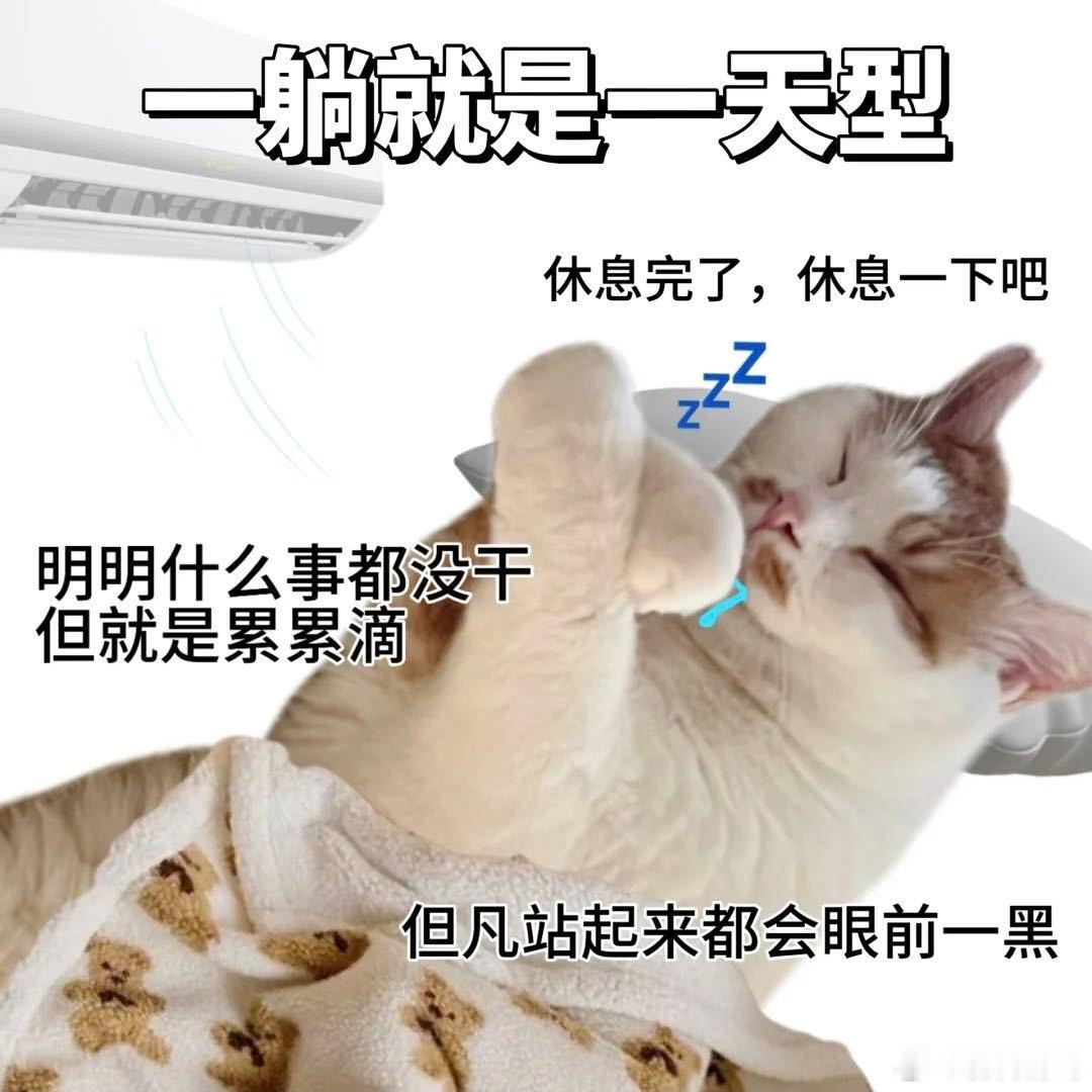 周末计划vs实际周末理想和现实总差口气，但胃从不亏待自己～管周末计划泡不泡汤，热