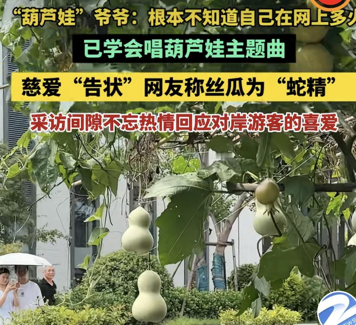 太神奇！浙江老人6元种苗种出神仙葫芦藤，意外爆红全网
 
全网网友纷纷直呼大开眼