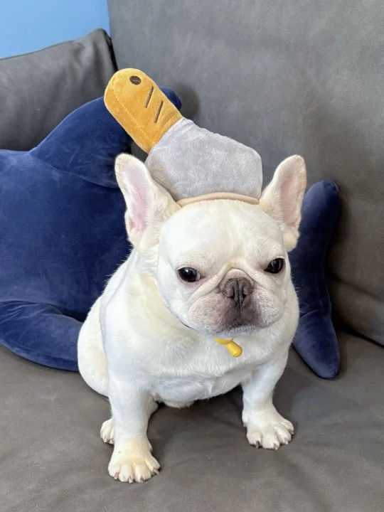 是兄弟就来砍一刀，就差你了！