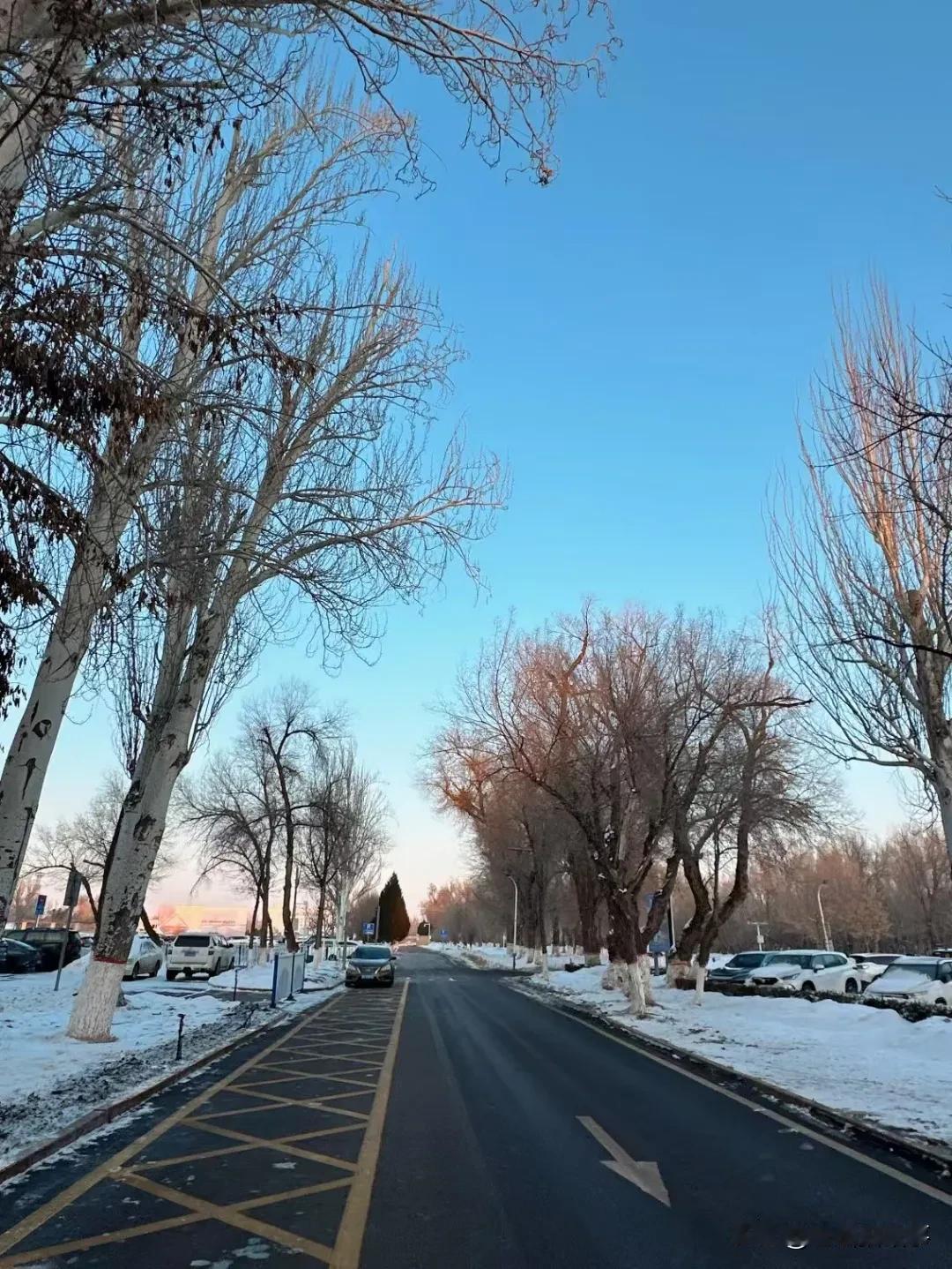 说一句带‘雪’的诗句千里冰封，万里雪飘！