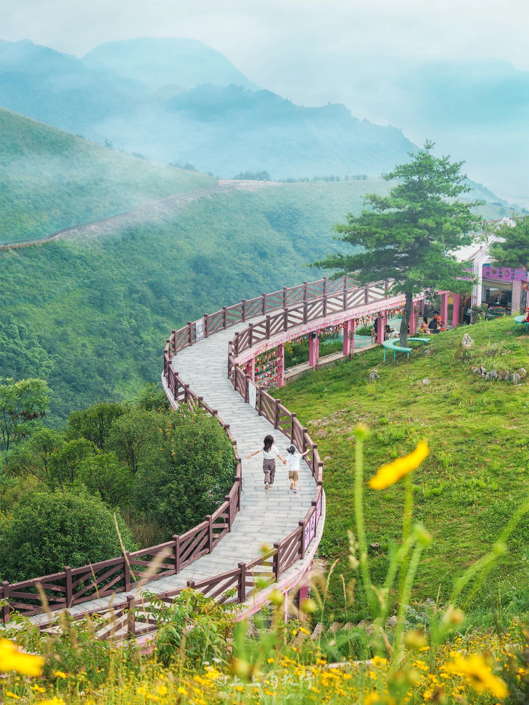 后悔来晚了！来湖北阿勒泰，过21°的夏日～