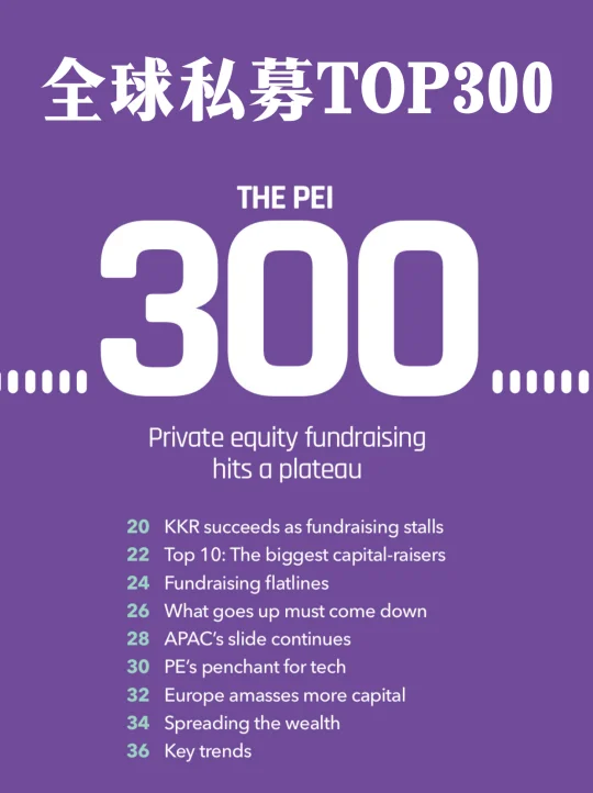 世界私募排行TOP300，你发现哪些中国公司？