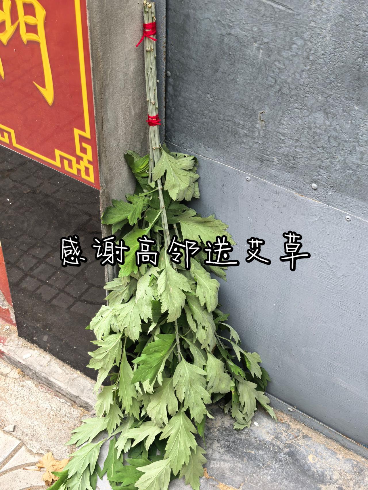 感谢高邻送艾草
