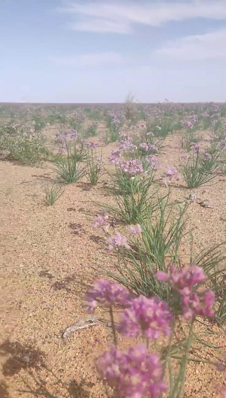 我又来发抖音了，火不火的不重要，我只想让你知道我每天都在店没岗，人没跑，有需要随