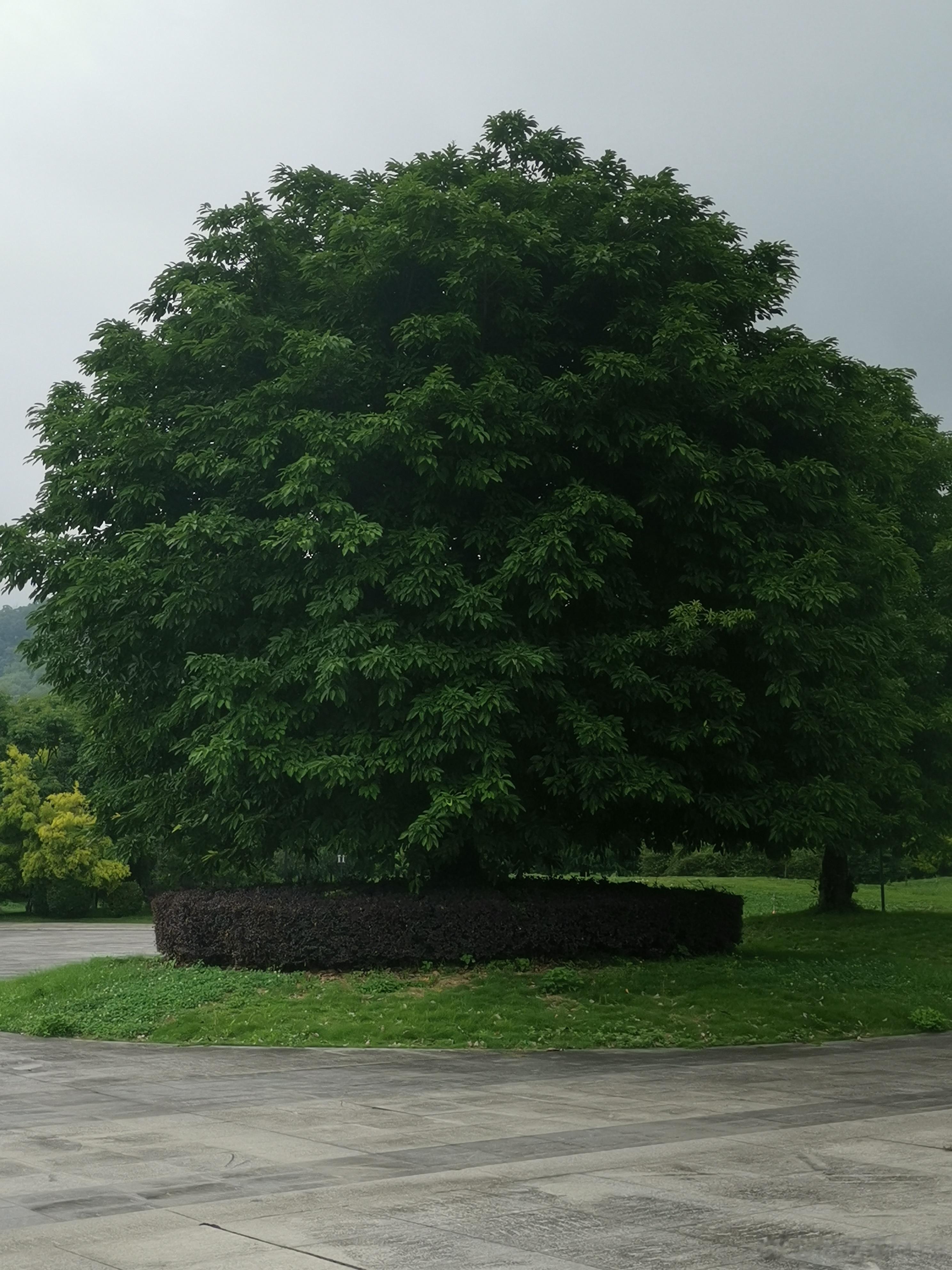 30岁女人保养卵巢 女性保养卵巢怎么做　　卵巢是女性青春的发源地，只有卵巢的保养