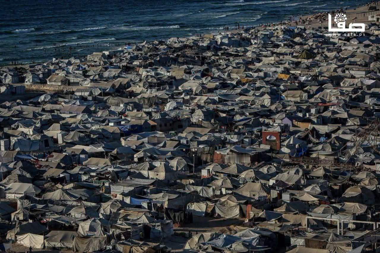 巴勒斯坦媒体报道证实，9月22日~23日夜间，加沙多地区出现类似污水或腐尸的浓烈