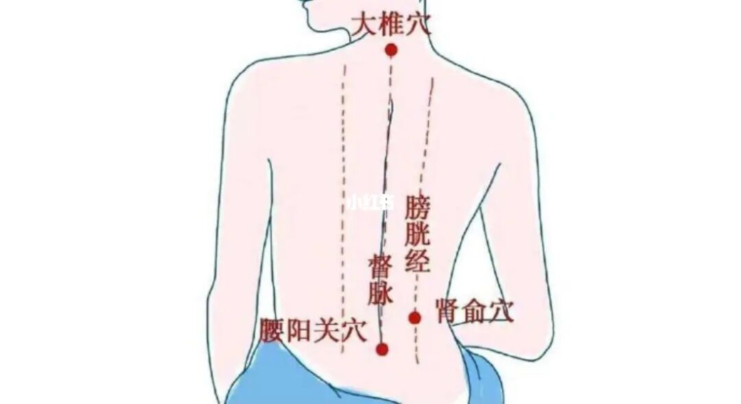 有些人口干易出汗、但又怕冷又怕热，矛盾吗？