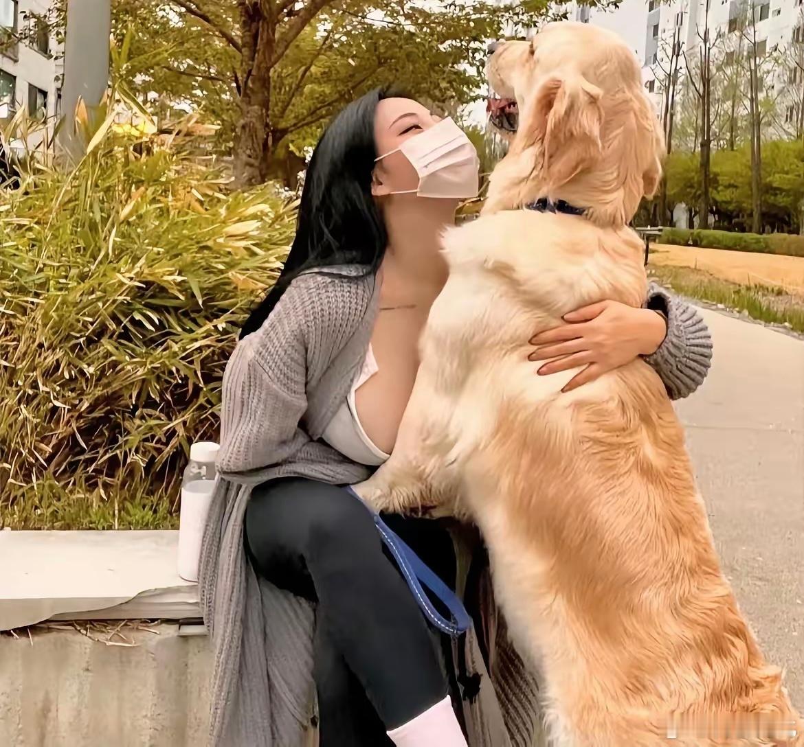 仔细看，金毛好像脱毛了！ 