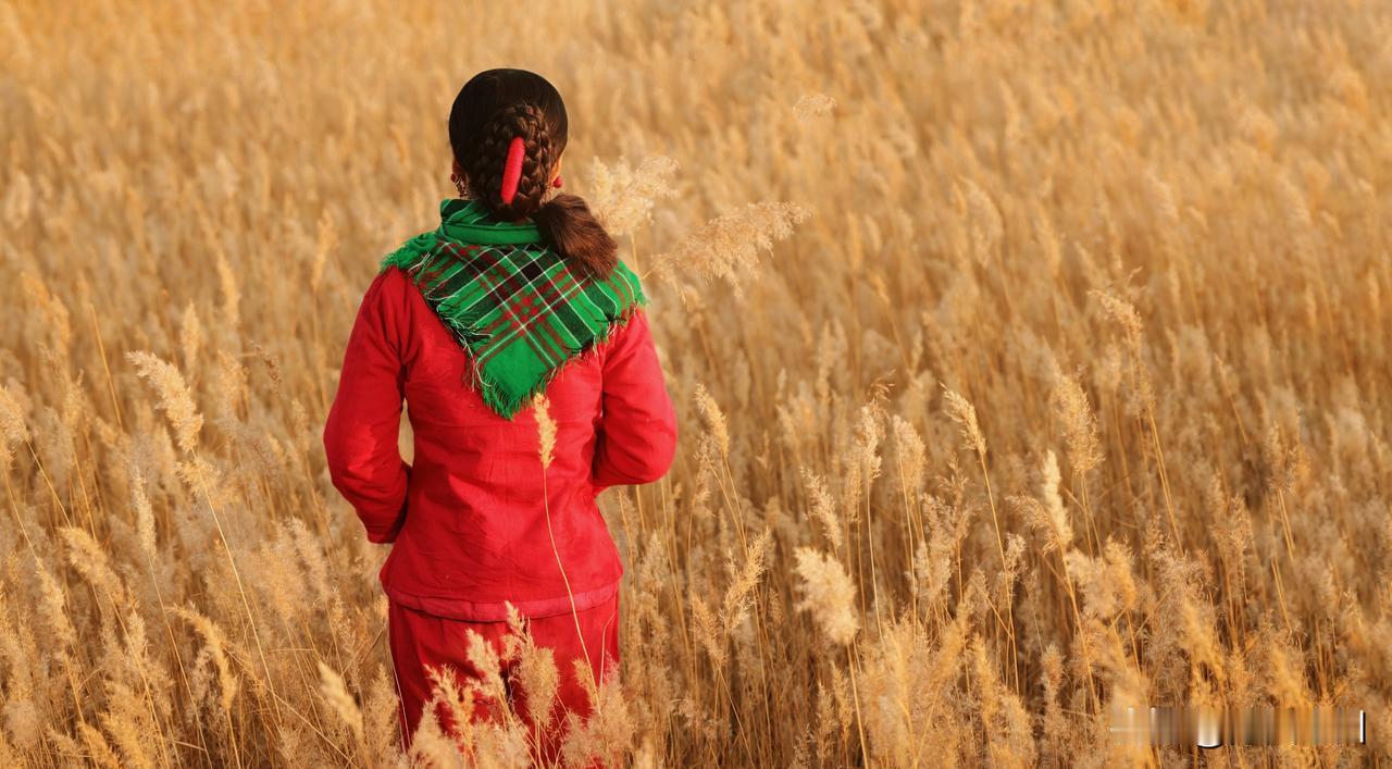 全国摄影艺术交流群摄影师行走老师摄影作品欣赏