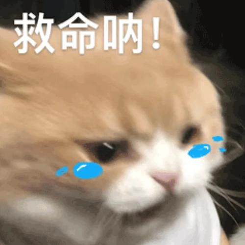 每天一条冷知识 洁厕灵和84为啥不能混用？因为前者主要是盐酸，后者则是次氯酸钠。