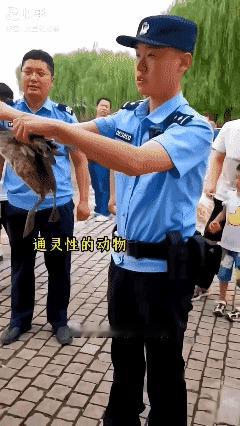 通灵性的小动物…[泣不成声]