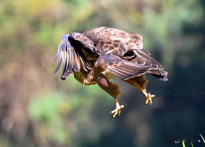 远逝的2025背影！
一言难尽的2025正在远去。未知的2026一步步走近。让我