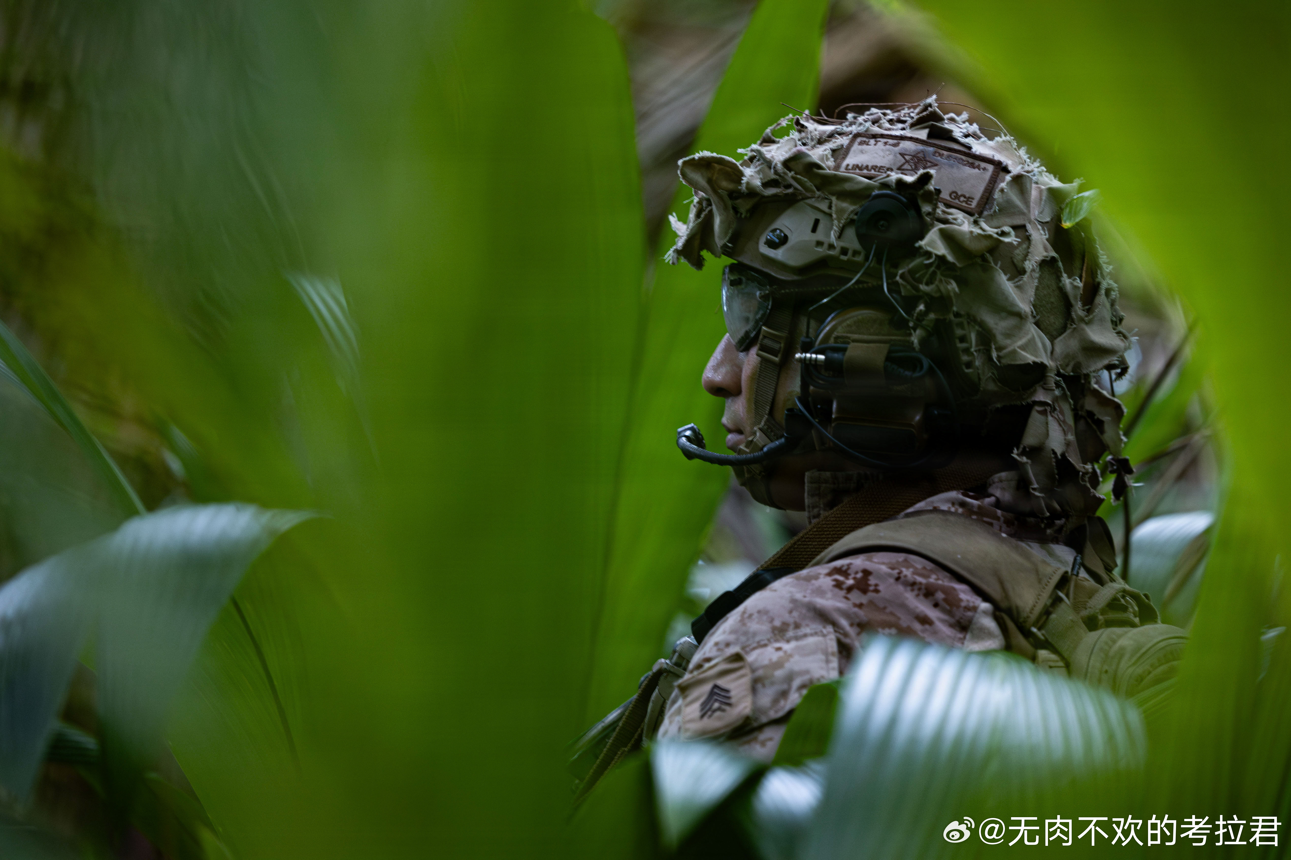 2026年3月24日，31st Marine Expeditionary Uni