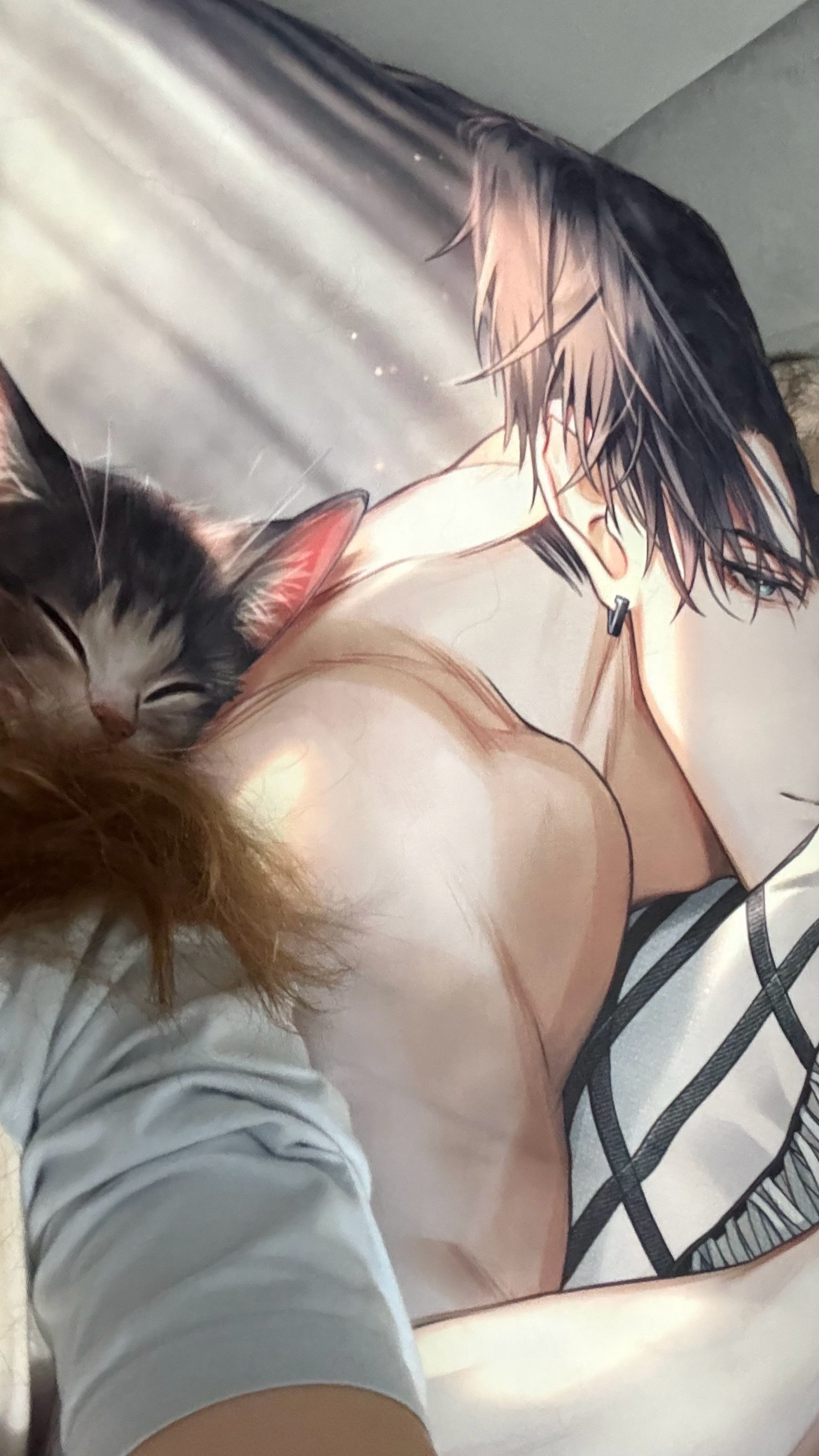 无孩爱猫爱狗人士 