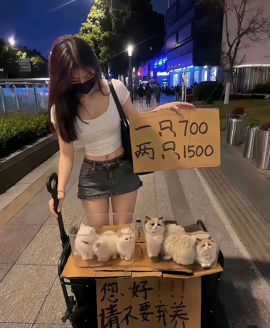 为啥两只1500 