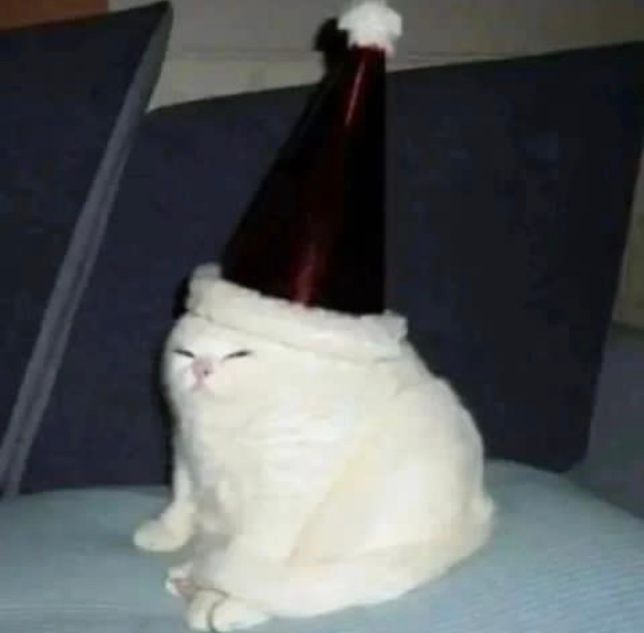 新年快乐家人们！感谢大家的陪伴🎉 ​​​
