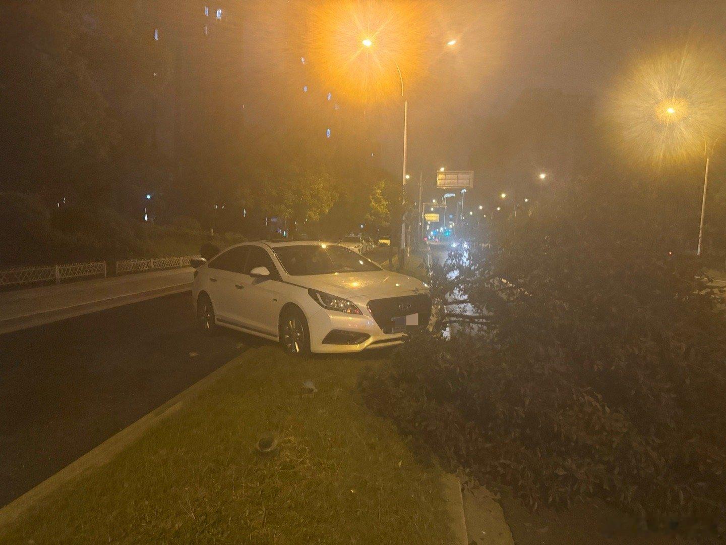 大家晚上开车还是要小心，伤到无辜小树也是不好的[允悲] ​​​